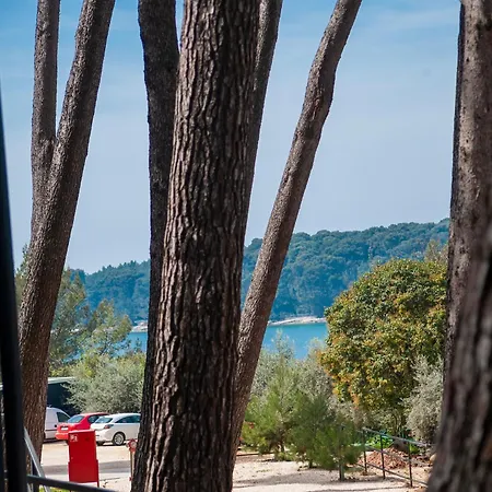 Mobile Maša 163, Camp Porton Biondi Campeggio *